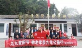 新县网友爆料新闻最新,惊现神秘事件，真相令人震惊！